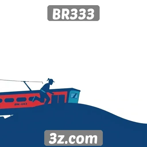 Dicas para otimizar sua experiência no BR333